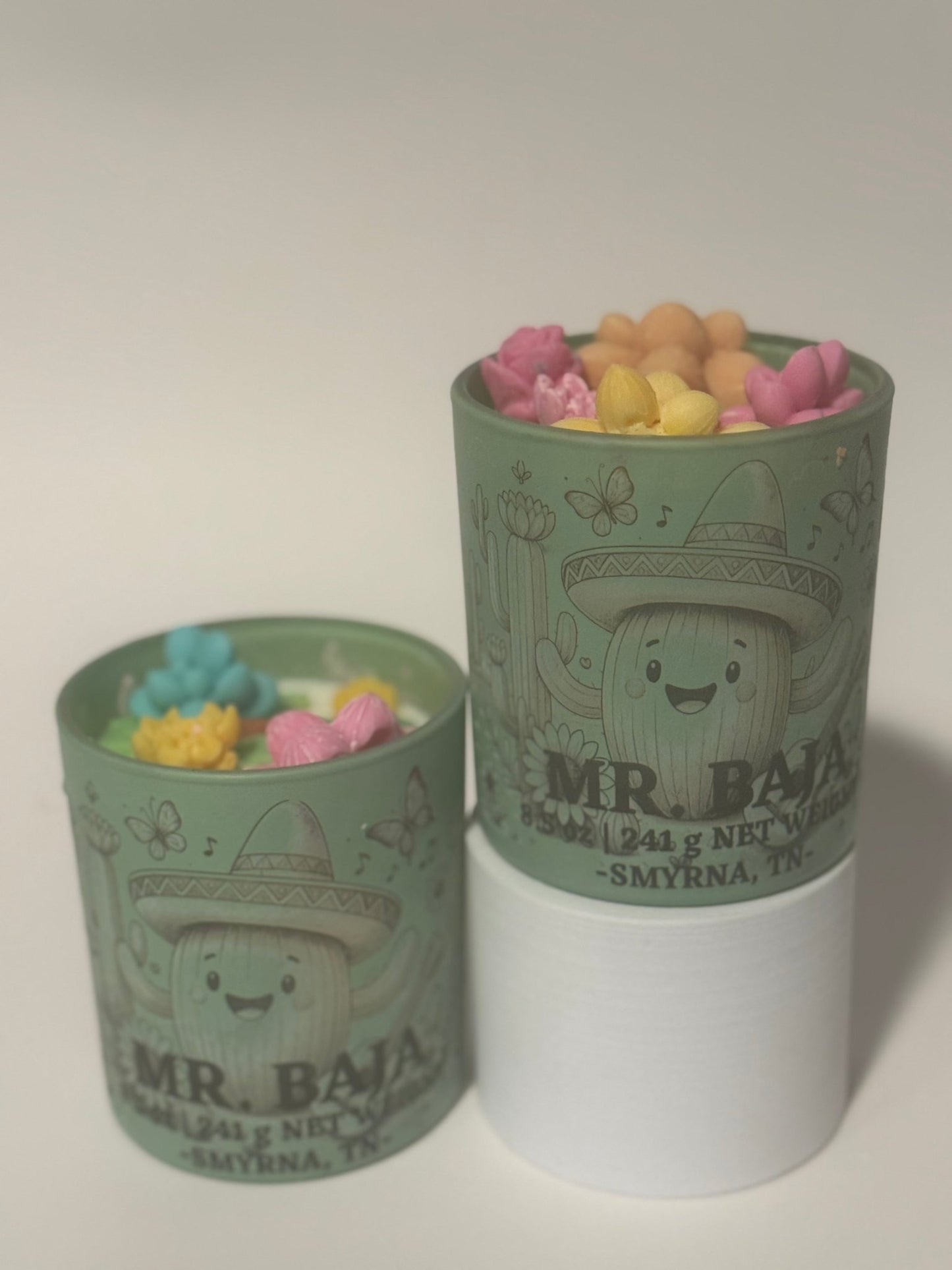 Awesome Baja Cactus CandleWax MeltLe Maire