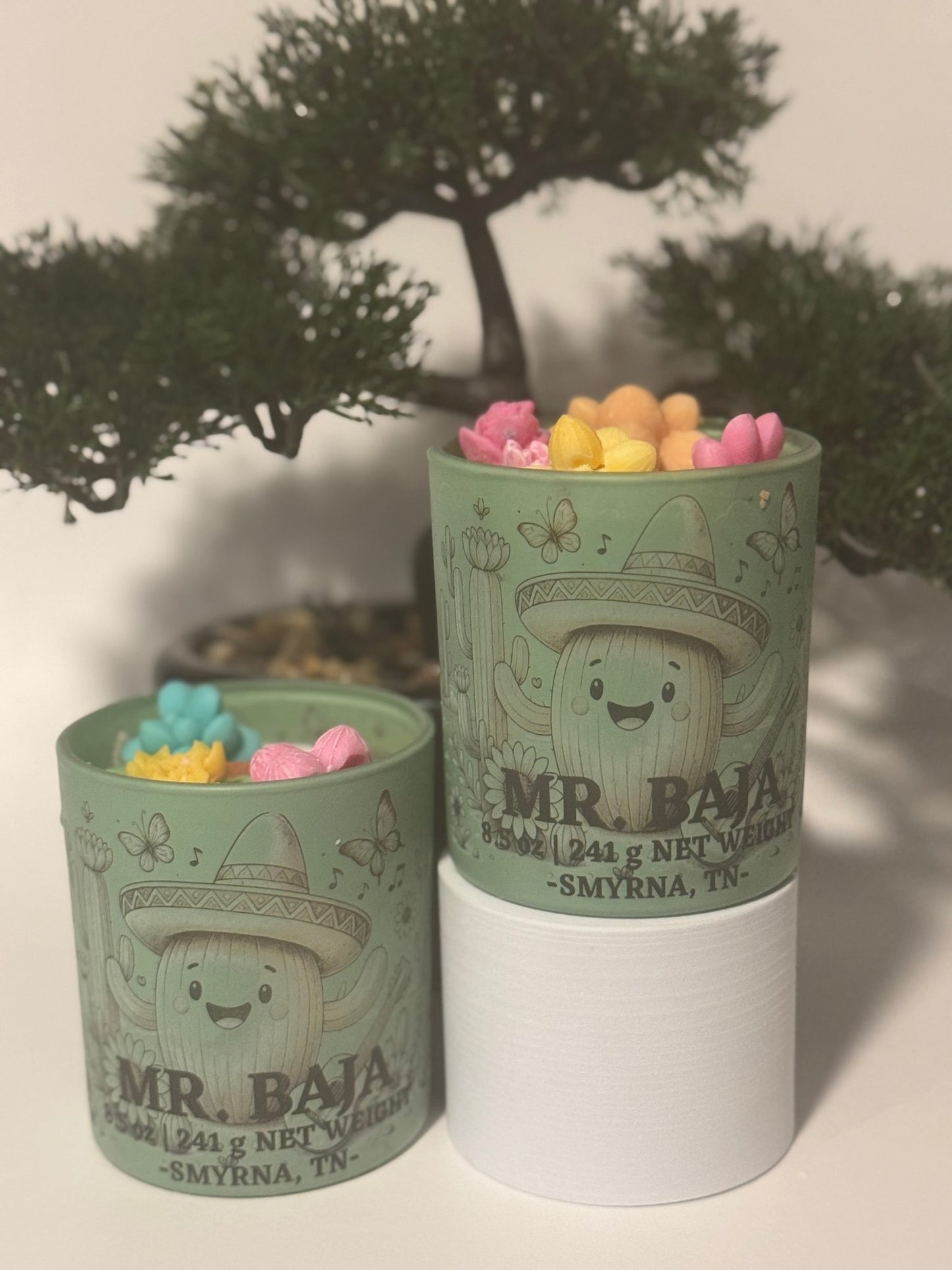 Awesome Baja Cactus CandleWax MeltLe Maire