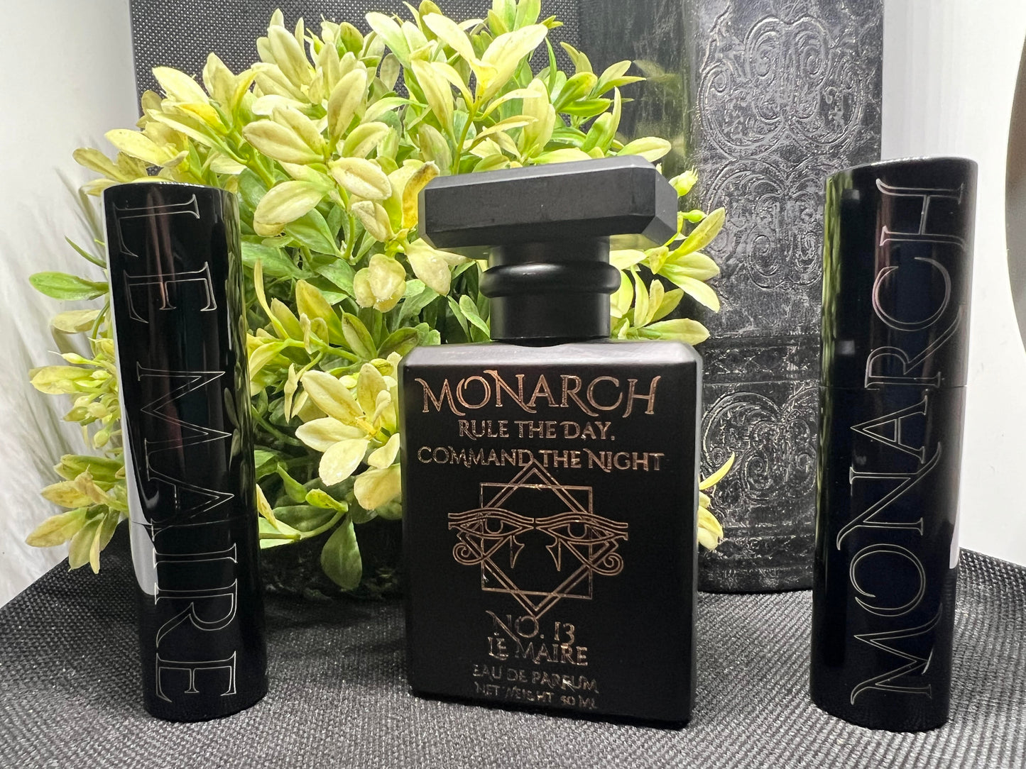 Monarch No. 13 by Le Maire
