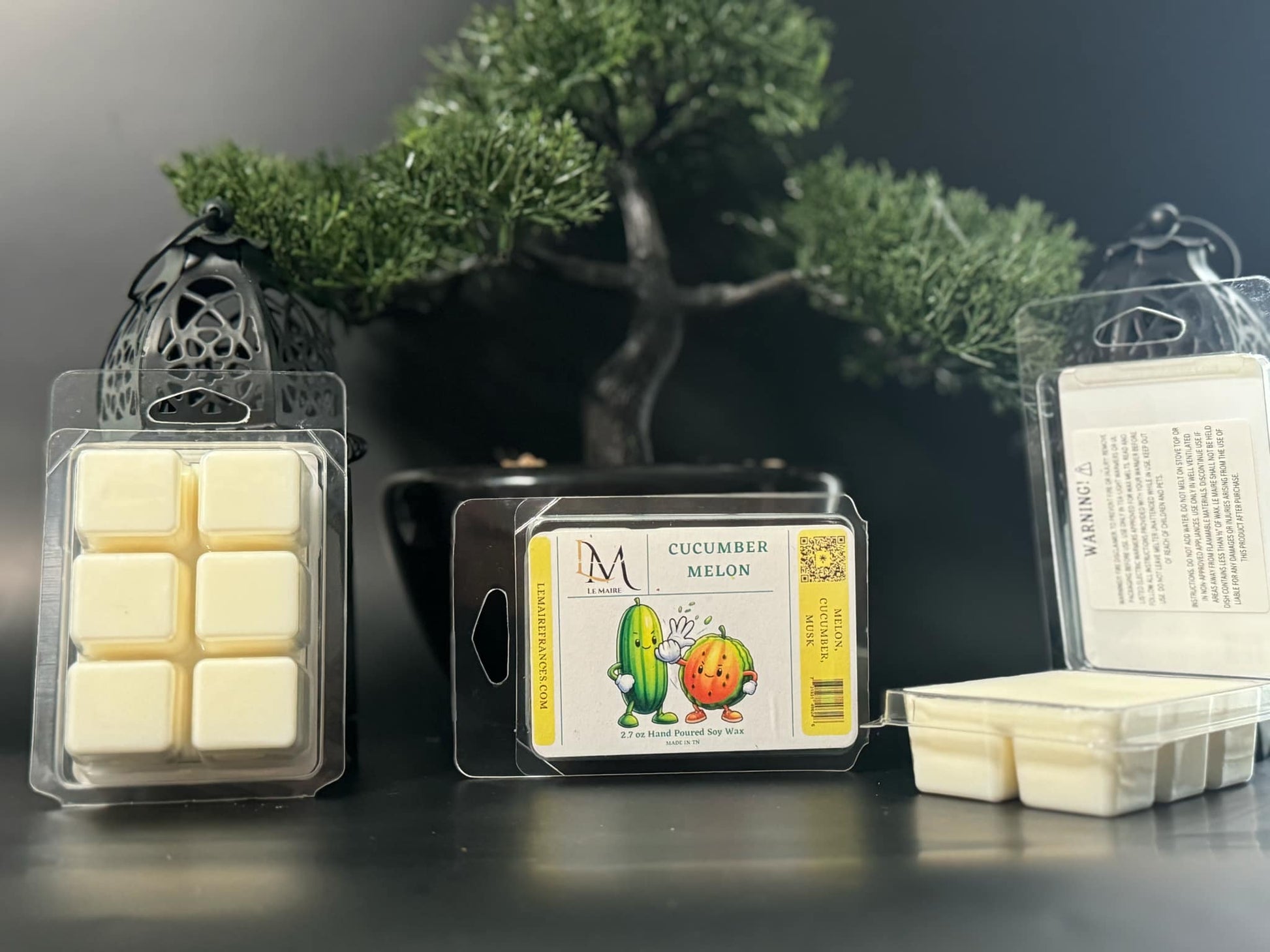 Cucumber Melon | Handmade Soy Wax MeltWax MeltLe Maire
