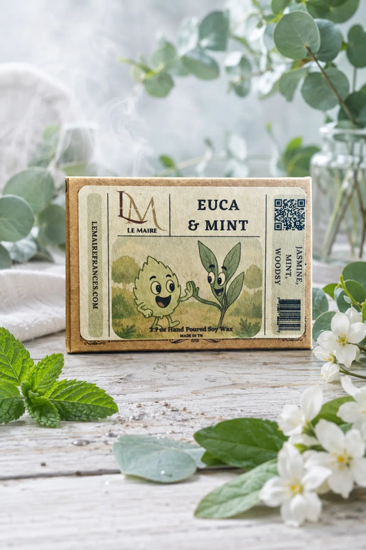 Euca & Minty wax melt and car air freshener with eucalyptus and spearmint aroma artwork | Le Maire