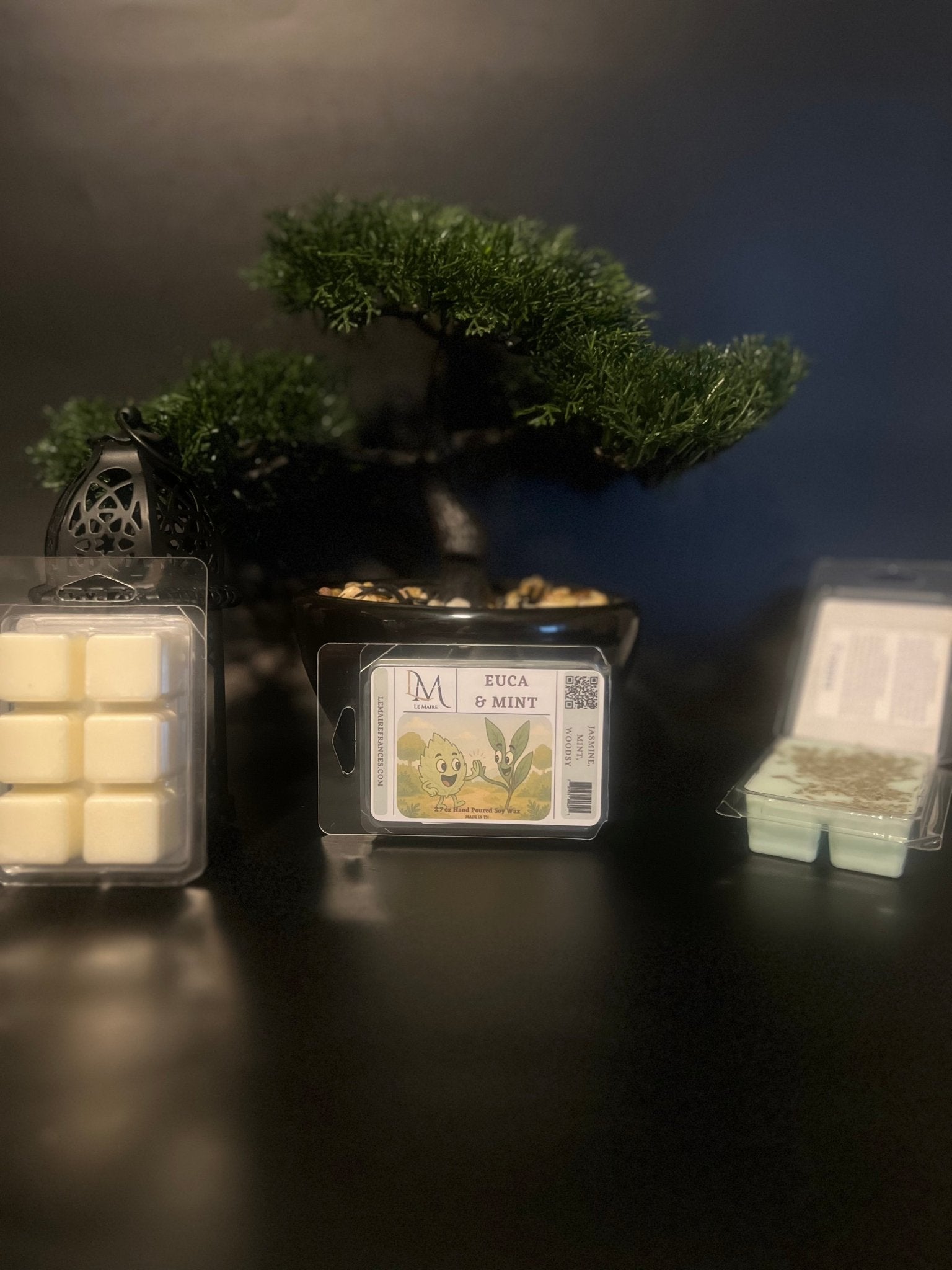 Eucalyptus & Spearmint Soy Wax Melt - Euca & MintyWax MeltLe Maire