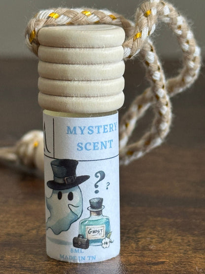 Mystery Scent | Candle, Wax Melt & Car Air FreshenerHome AromaLe Maire